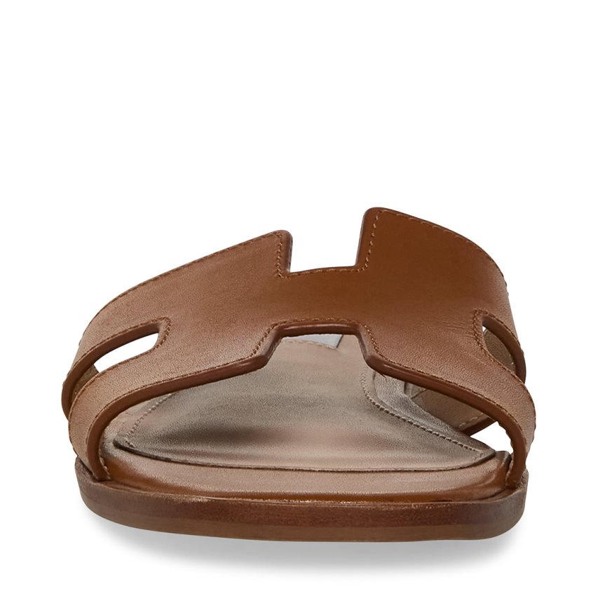 Sandalias de Diapositivas Steve Madden Hadyn Cuero Mujer Marrones | ES WX21E0